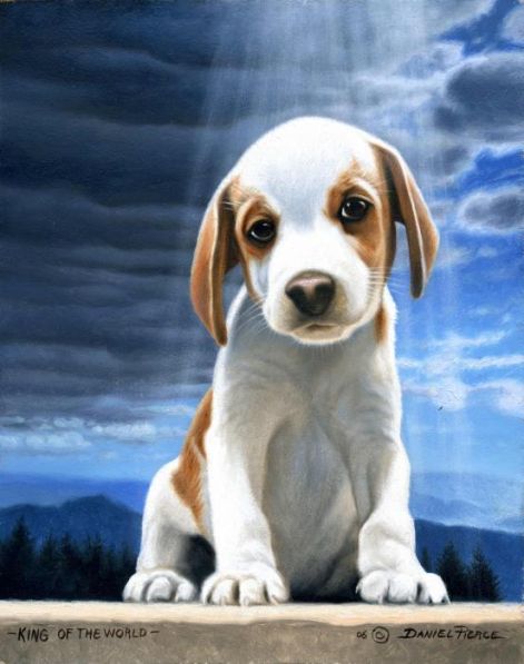 king-of-the-world-beagle-puppy-daniel-pierce.jpg